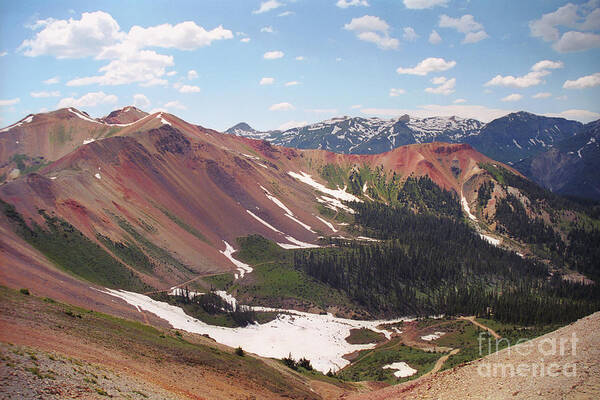 Tree Poster featuring the photograph Red Iron Mountain by Teri Atkins Brown