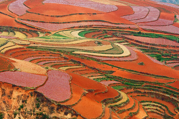  Poster featuring the photograph Red Land 01 by Jason KS Leung