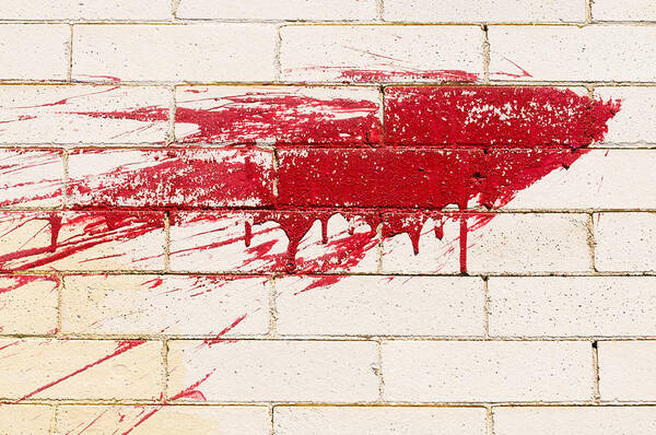 Abstract Composition Poster featuring the photograph Red Splash on Brick Wall by Lynn Hansen