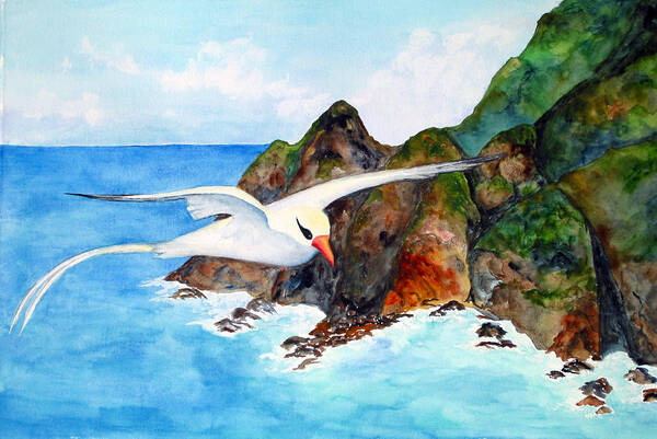 Red-billed Tropicbird Poster featuring the painting Redbilled Tropicbird by Patricia Beebe