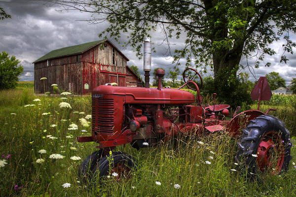 Tractor Poster featuring the photograph Reds in the Pasture by Debra and Dave Vanderlaan