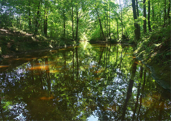 Skillet Creek Poster featuring the photograph Reflecting Waters by Leda Robertson