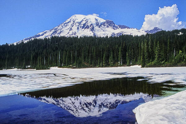 Mount Rainier Poster featuring the photograph Reflection by Kelley King