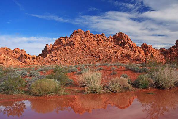 Water Poster featuring the photograph Reflections At The Valley of Fire by Steve Wolfe