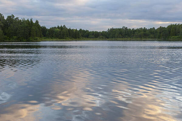 Reflections Lake Horicon Lakehurst Nj Poster featuring the photograph Reflections Lake Horicon Lakehurst NJ by Terry DeLuco