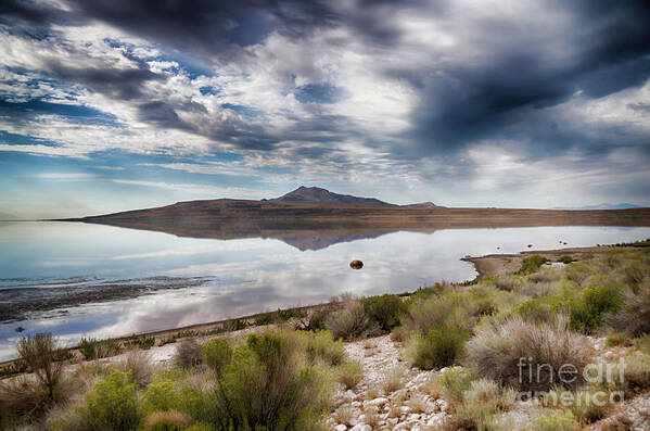 Antelope Island Poster featuring the photograph Reflections of Antelope Island by Donna Greene