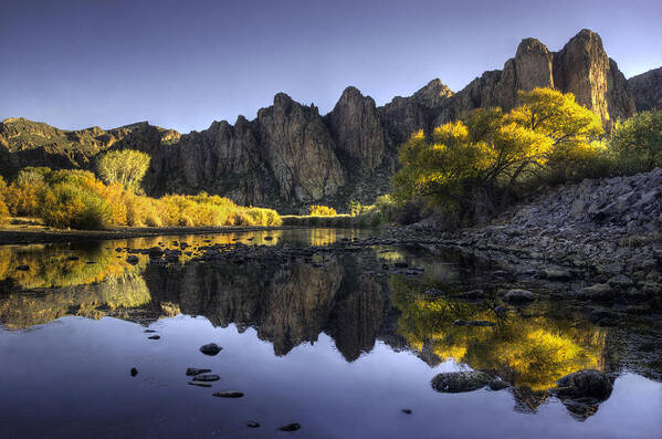 Yellow Trees Poster featuring the photograph Reflections of fall colors in the Salt River by Dave Dilli