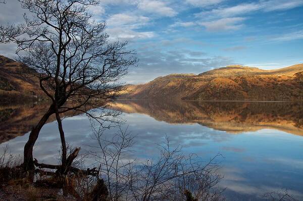 Loch Lomond Poster featuring the photograph Reflections on Loch Lomond by Stephen Taylor