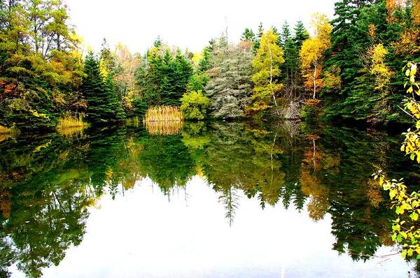 Landscape Poster featuring the photograph Reflections by Tim Nichols