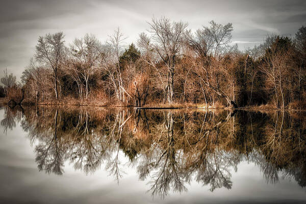 Lake Poster featuring the photograph Reflective Morning by James Barber