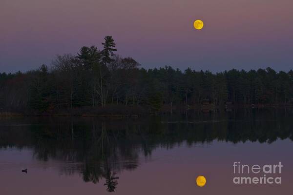 Full Moon Poster featuring the photograph Replacing the Sunset II by Alice Mainville