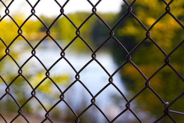 Chainlink Fence Poster featuring the photograph Restricted Access by Michelle Joseph-Long