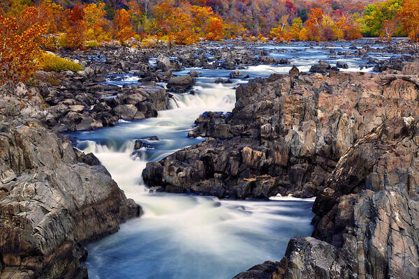 River Poster featuring the photograph River by Mitch Cat