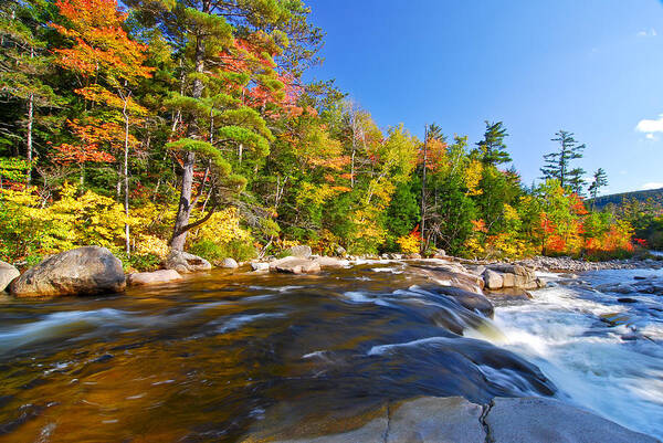 Fall Color Poster featuring the photograph River View N.H. by Michael Hubley