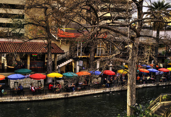 Trees Poster featuring the photograph Riverview by Deborah Klubertanz