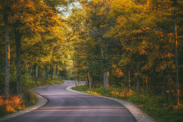 Blacktop Poster featuring the photograph Road to Cave Point by Scott Norris