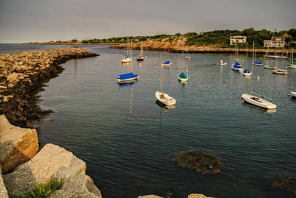 2008 Poster featuring the photograph Rockport Gold by Mark Myhaver