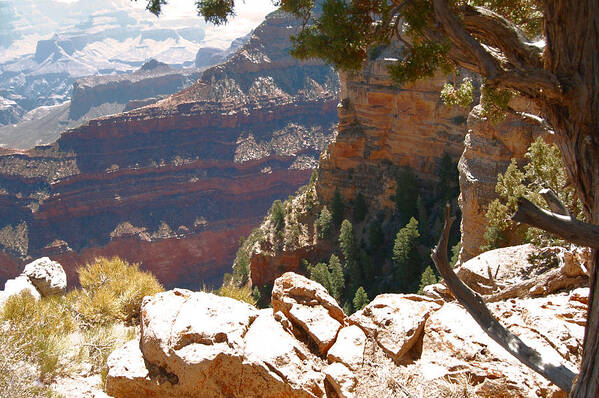 Grand Canyon Poster featuring the photograph Rocks Edge by Leticia Latocki