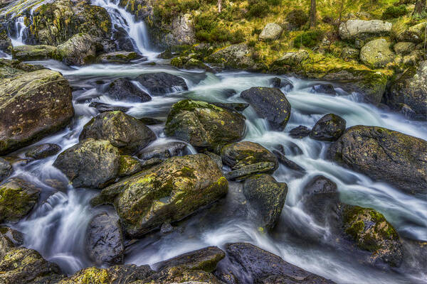 Stream Poster featuring the photograph Rocky Ice Water by Ian Mitchell