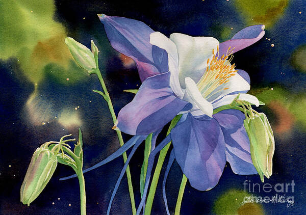 Flower Poster featuring the painting Rocky Mountain Columbine by Lorraine Watry
