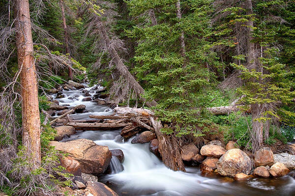 Mountain Stream Poster featuring the photograph Rocky Mountains Stream Scenic Landscape by James BO Insogna