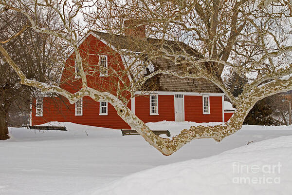 Roger Poster featuring the photograph Roger WIlliams Cottage in Winter by Butch Lombardi