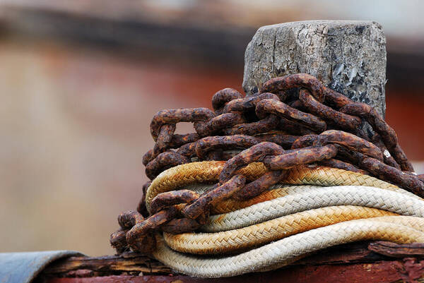 Rope Poster featuring the photograph Rope And Chain by Wendy Wilton
