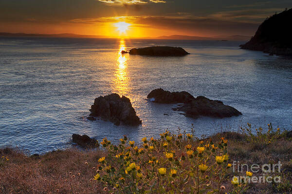 Rosario Head Poster featuring the photograph Rosario Head Sunset by Mark Kiver