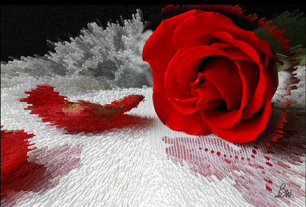 Red Rose Poster featuring the photograph Roses are Red2 by Bonnie Willis