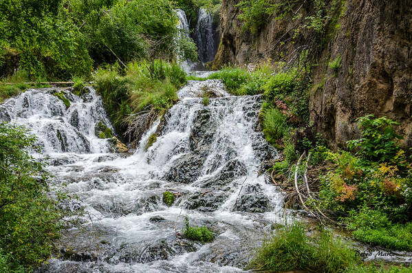 Roughlock Falls South Dakota Poster featuring the photograph Roughlock Falls South Dakota by Debra Martz