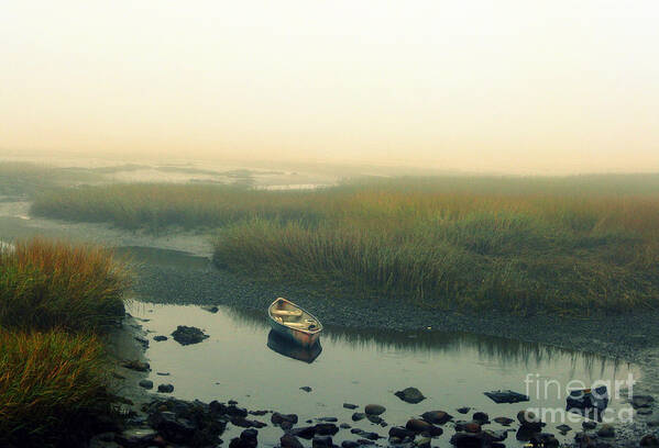 Boat Poster featuring the photograph Rowboat in a Rocky Marsh by Patricia Januszkiewicz