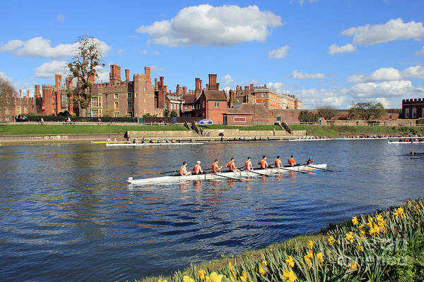 British English Countryside Landscape Rowing On The Thames At Hampton Court Poster featuring the photograph Rowing on the Thames at Hampton Court by Julia Gavin