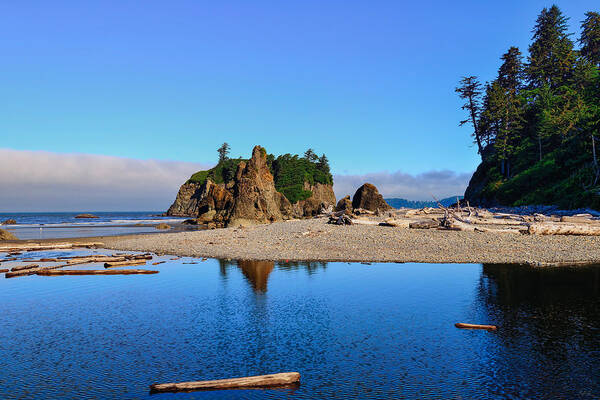 Olympic National Park Poster featuring the photograph Ruby Beach by Greg Norrell