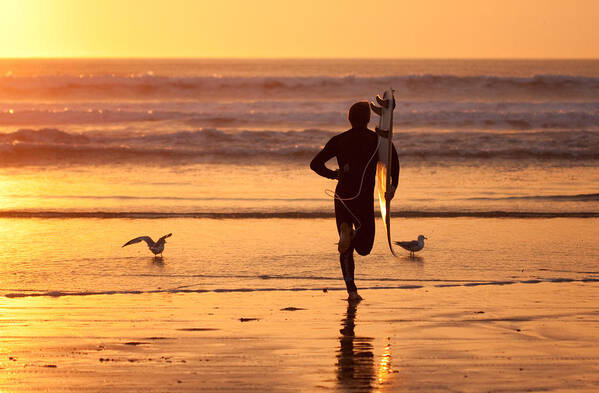 Sunset Poster featuring the photograph Running to surf by Nathan Rupert