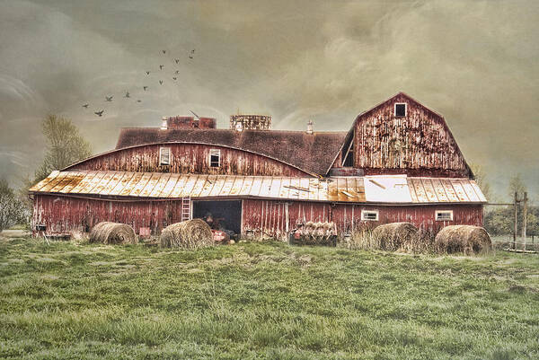 Rural Landscape. . Farm Poster featuring the photograph Rural Harvest by Mary Timman
