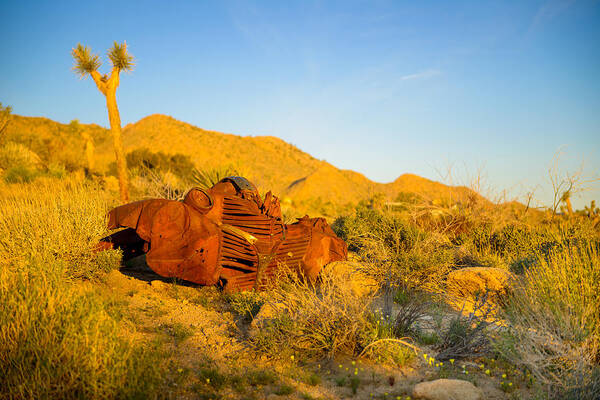 Sun Rise Poster featuring the photograph Rust in the Dawn Light by Mark Rogers