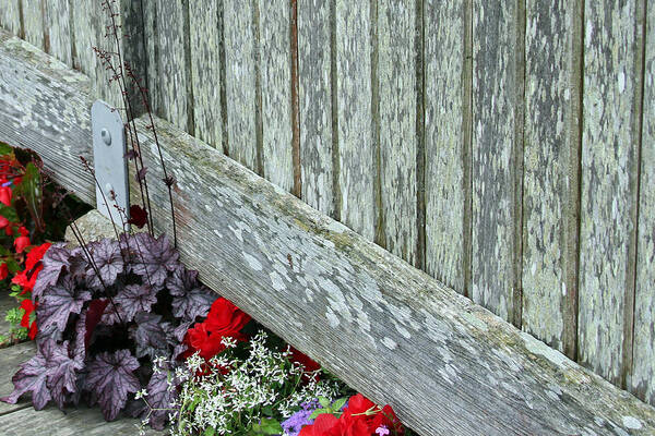Flowers Poster featuring the photograph Rustic Fence and flowers by Jackson Pearson