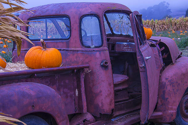 Truck Poster featuring the photograph Rusty Autumn by Garry Gay