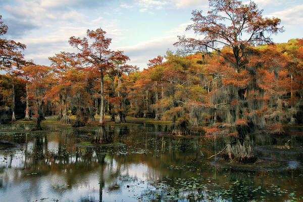 Autumn Poster featuring the photograph Rusty Mill by Lana Trussell