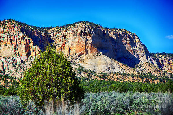 Utah Mountains Southwest America Sage Poster featuring the photograph Sage Mountain by Rick Bragan