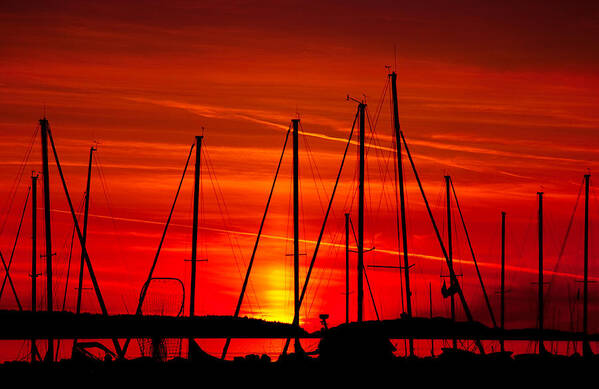  Boats Poster featuring the photograph Sail Silhouettes by Darren Bradley