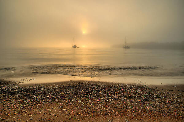 Canada Poster featuring the photograph Sailboats in Tee Harbour by Jakub Sisak