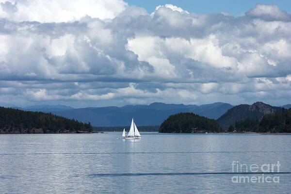 Nautical Poster featuring the photograph Sailing in the San Juans by Carol Groenen