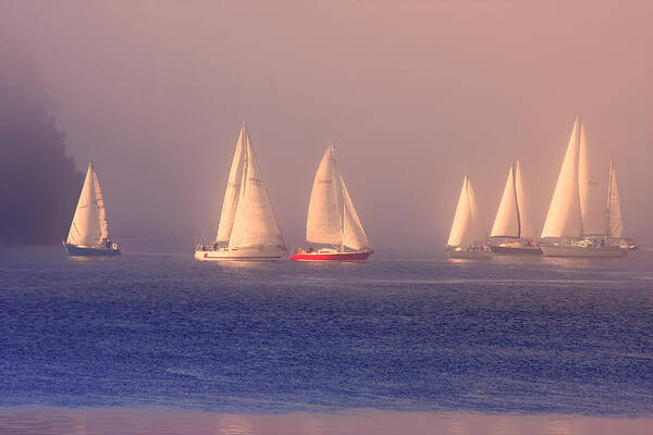 Sailboats Poster featuring the photograph Sailing on a Misty Ocean by Peggy Collins