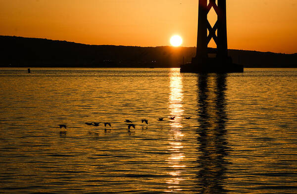 Georgia Mizuleva Poster featuring the photograph San Francisco Bay Bridge Sunrise by Georgia Mizuleva