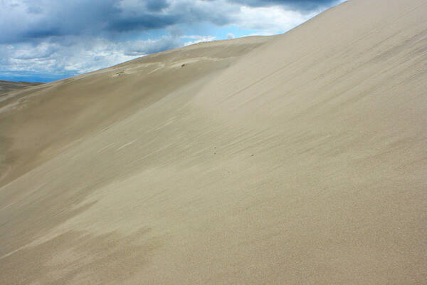 Desert Poster featuring the photograph Sand Dunes 3 by Jon Emery