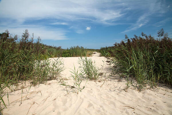 Sand Dune Poster featuring the photograph Sand Dunes at the Beach by Jennifer Lycke