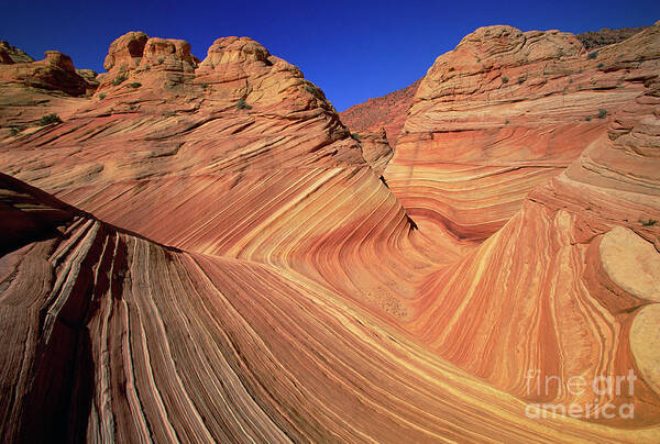 00341138 Poster featuring the photograph Sandstone Buttes Colorado Plateau by Yva Momatiuk John Eastcott