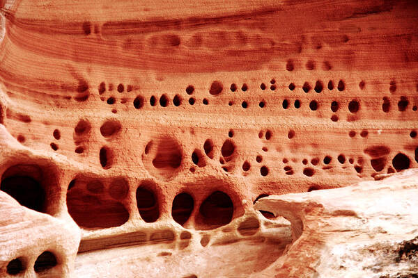 Abstract Poster featuring the photograph Sandstone Designs by Aidan Moran