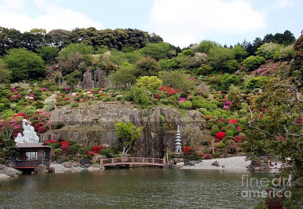 Gardens Poster featuring the photograph Sasebo garden by Yumi Johnson